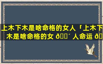 上木下木是啥命格的女人「上木下木是啥命格的女 🐴 人命运 🐕 」